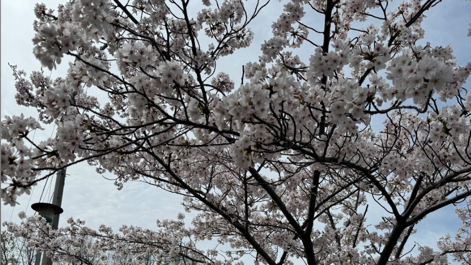 今週もよろしくお願いします🐥