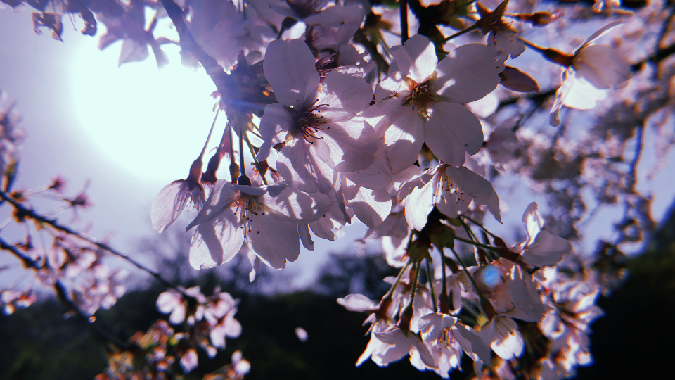 📷