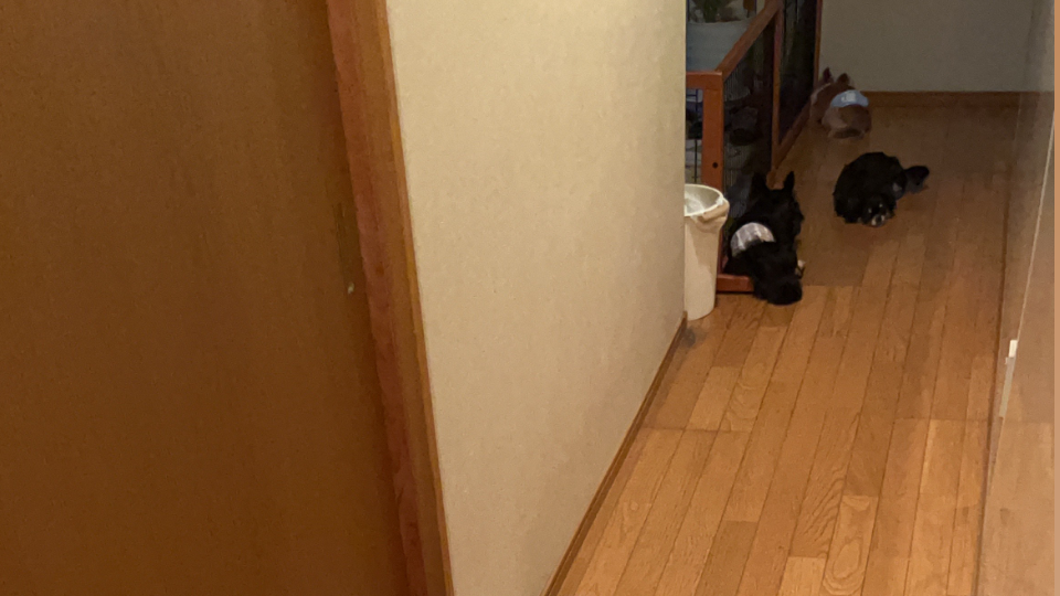 （※BLOG更新※）