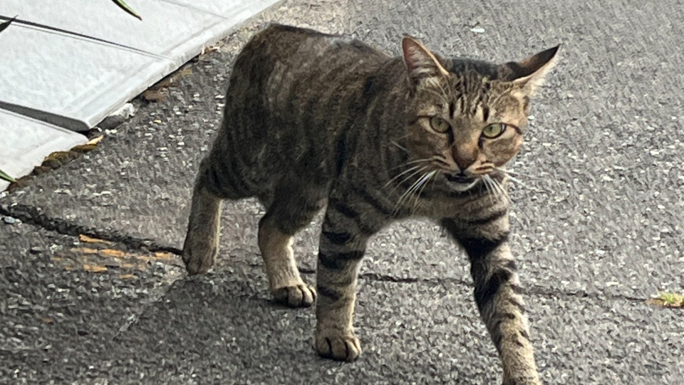 本日も2000〜openしてます