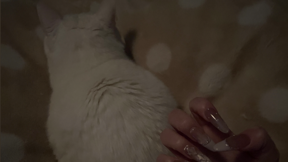 夜中の1時に😹ひさしぶり添い寝ฅ•ω•ฅ🎀🎀