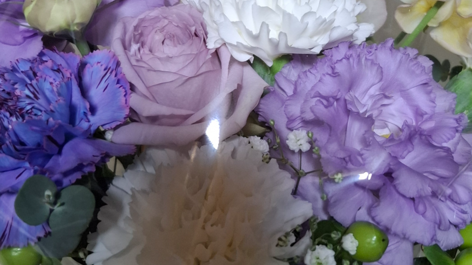 寒さが落ち着くかと思いきや…変わらず…(´；ω；｀)