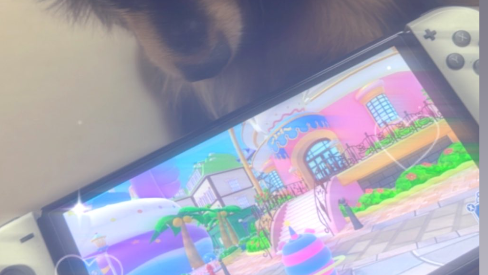 こんばんは♡
