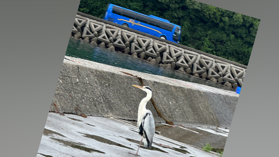 （※BLOG更新※）