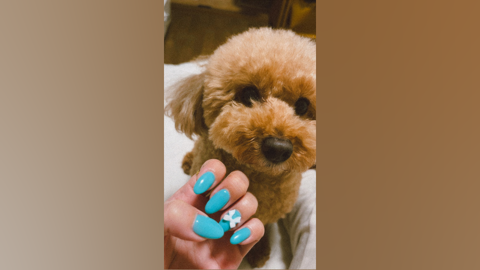（※BLOG更新※）