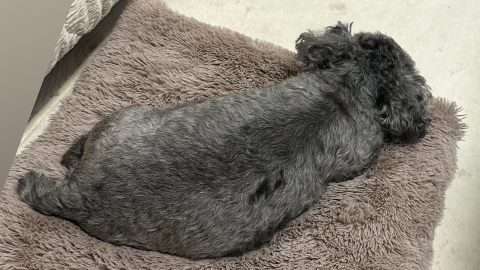 （※BLOG更新※）