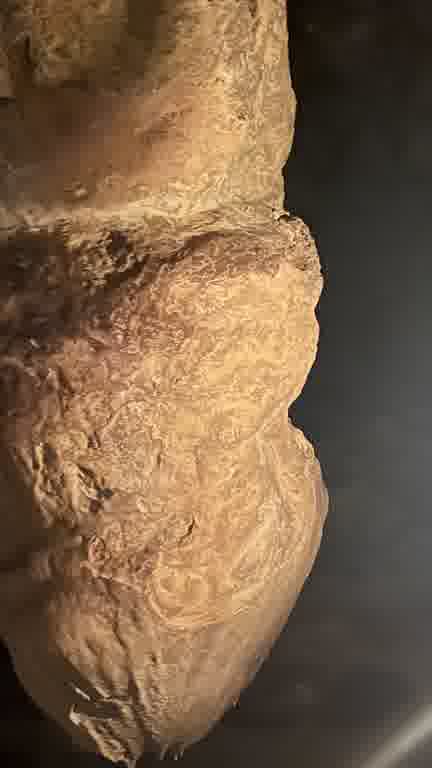 ホストクラブ15ムービー