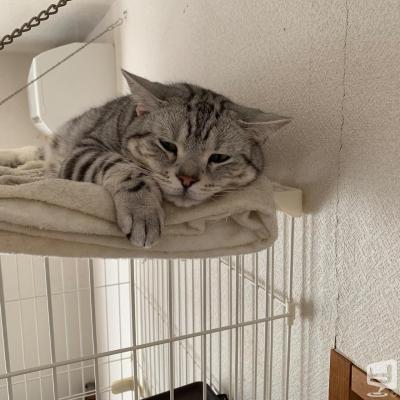 [高知]ホストクラブamazeの雰囲気