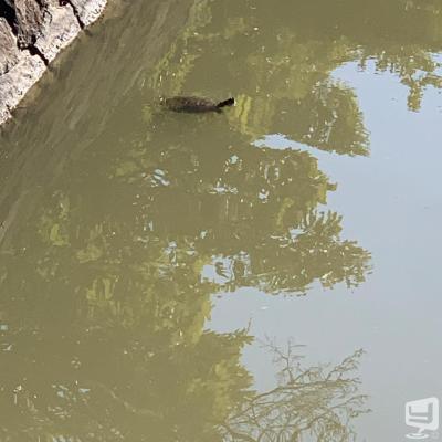 高知市ホストクラブ2026-04-19 18:28:43のお気に入り写真