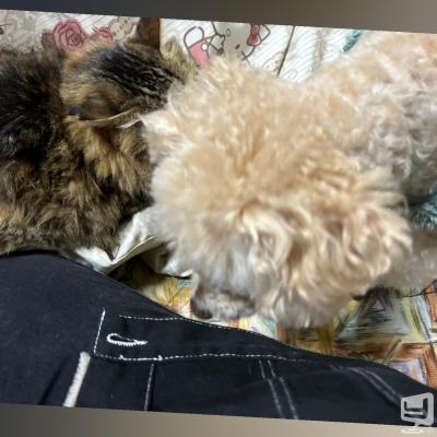 [高知]ホストクラブamazeの雰囲気