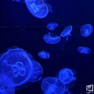 高知市ホストクラブ2026-08-23 18:09:45のお気に入り写真