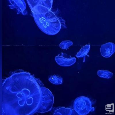 [高知]ホストクラブamazeの雰囲気