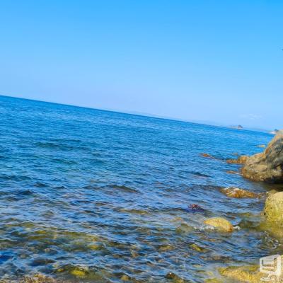 辰巳ののお気に入りの写真