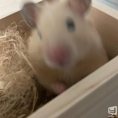 [高松]ホストクラブBelchicの雰囲気