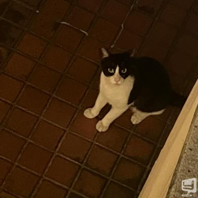 [高松]ホストクラブBelchicの雰囲気