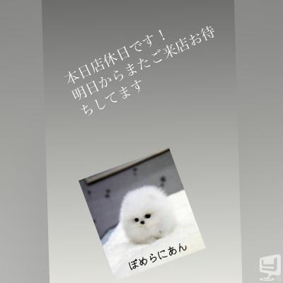 [高松]ホストクラブBelchicの雰囲気