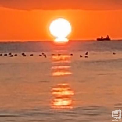 [高松]ホストクラブBelchicの雰囲気