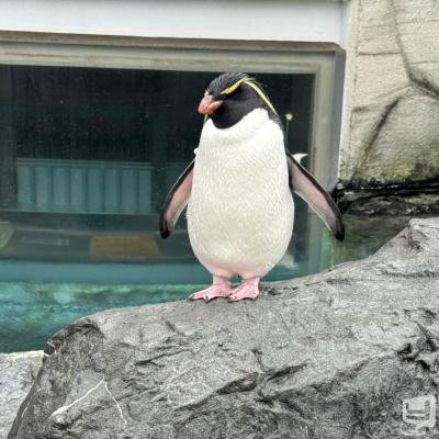 [高松]ホストクラブBelchicの雰囲気