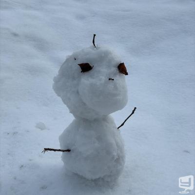 [高松]ホストクラブBelchicの雰囲気