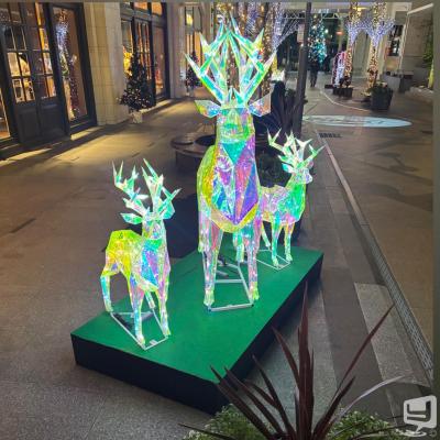 アキののお気に入りの写真