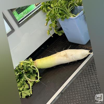 [高松]ホストクラブBelchicの雰囲気