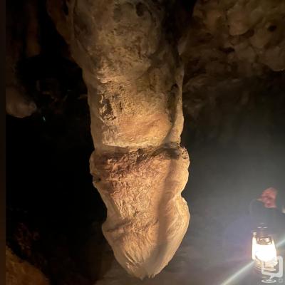 [高松]ホストクラブBelchicの雰囲気