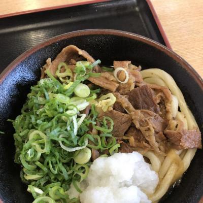 今日の一枚