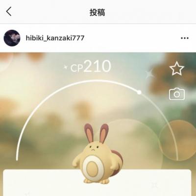 今日の一枚