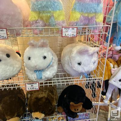 ダイヤののお気に入りの写真