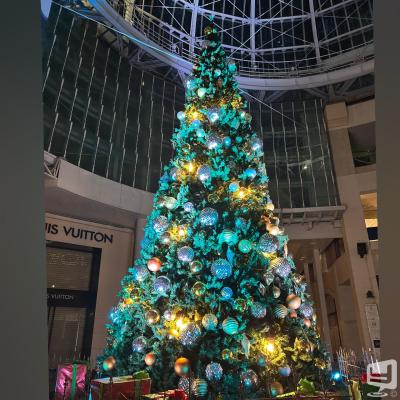 今日の一枚 カワイイ 嬉しい♪ destiny-acro- #香川 #香川 香川最強