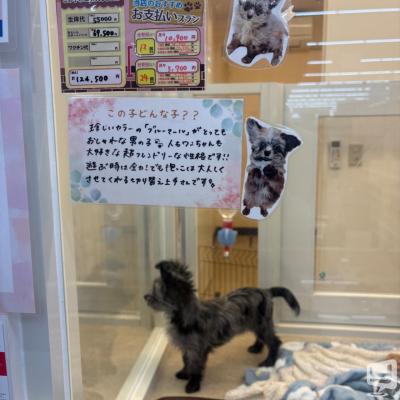 [高松]ホストクラブDestiny acroの雰囲気