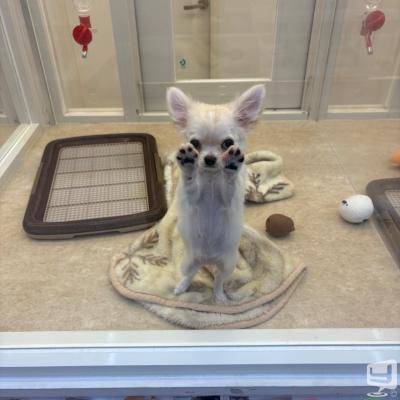 高松市ホストクラブ2026-05-31 23:30:02のお気に入り写真
