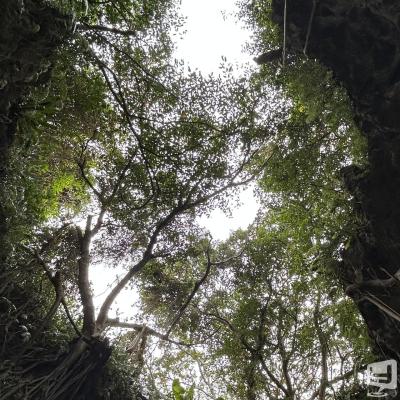  Destiny-acro- Sののお気に入りの写真