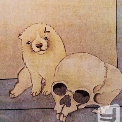 今日の一枚