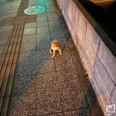 高松市ホストクラブ2025-09-25 19:38:50のお気に入り写真