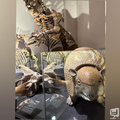 [高松]ホストクラブCLUB EMPERORの雰囲気