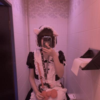 今日の一枚