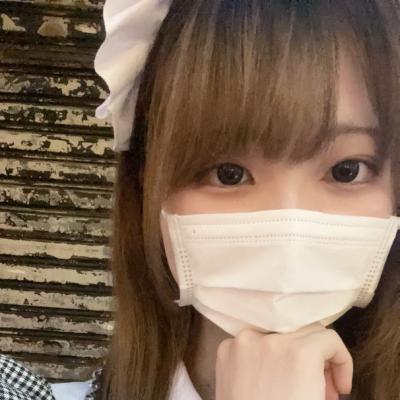 今日の一枚