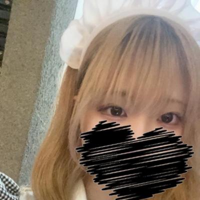今日の一枚