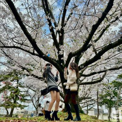 スナックEVEお店の雰囲気