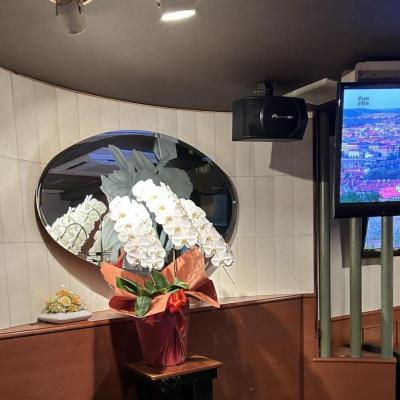 今日の一枚