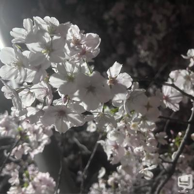 高松市ラウンジ2026-04-06 18:32:52のお気に入り写真