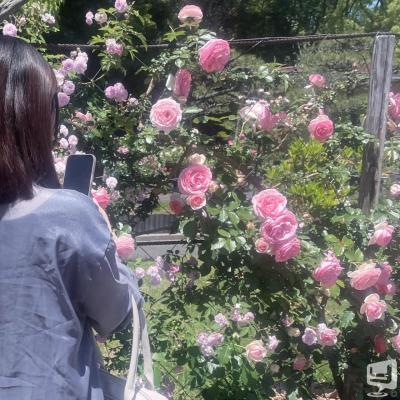 高松市ラウンジ2026-05-18 19:25:31のお気に入り写真