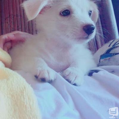 [高松]ラウンジCLUB LILITHの雰囲気