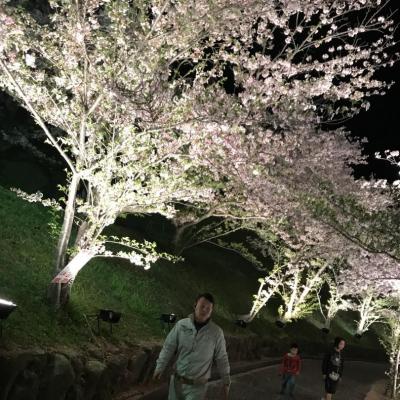今日の一枚 今年一番の夜桜特集(● ˃̶͈̀ロ˂̶͈́)੭ꠥ⁾⁾ おはようございます