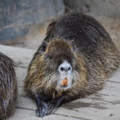 エリカ様ののお気に入りの写真