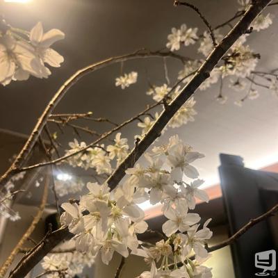 ラウンジlounge Vicus kお店の雰囲気