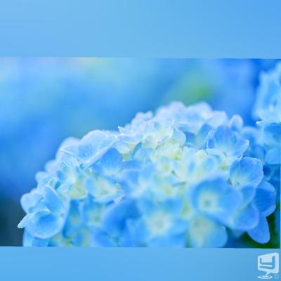 [高松]ラウンジclub YUUの雰囲気