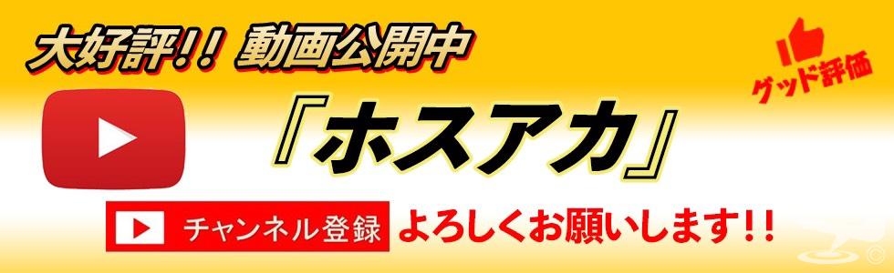 今日の一枚 セクシー カワイイ オモシロ カッコイイ ビックリ めでたい 嬉しい♪ やってみた