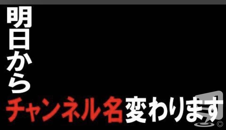 今日の一枚